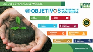 LOS ODS EN PILAS CON EL AMBIENTE
 