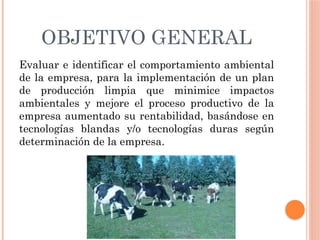 OBJETIVO GENERAL
Evaluar e identificar el comportamiento ambiental
de la empresa, para la implementación de un plan
de producción limpia que minimice impactos
ambientales y mejore el proceso productivo de la
empresa aumentado su rentabilidad, basándose en
tecnologías blandas y/o tecnologías duras según
determinación de la empresa.
 