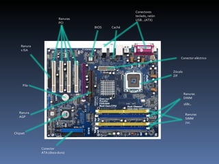 BIOS Ranuras SIMM 72c. Ranuras DIMM 168c . Ranuras PCI Ranuras ISA Ranura AGP Conector  ATA (disco duro) Chipset Pila Zócalo ZIF Conector eléctrico  Conectores teclado, ratón USB…(ATX) Caché 