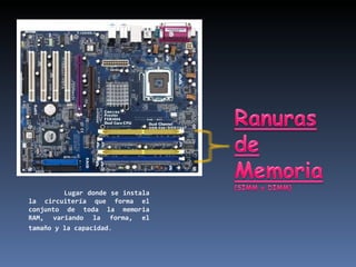 Lugar donde se instala la circuitería que forma el conjunto de toda la memoria RAM, variando la forma, el tamaño y la capacidad .  