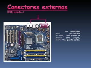 Son conectores para periféricos externos; como pueden se puertos para juegos, puerto VGA, puerto serie… 