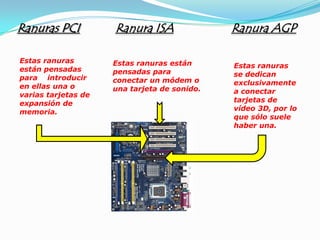Ranuras PCI          Ranura ISA               Ranura AGP

Estas ranuras        Estas ranuras están
están pensadas                                Estas ranuras
                     pensadas para            se dedican
para introducir      conectar un módem o
en ellas una o                                exclusivamente
                     una tarjeta de sonido.   a conectar
varias tarjetas de
expansión de                                  tarjetas de
memoria.                                      vídeo 3D, por lo
                                              que sólo suele
                                              haber una.
 