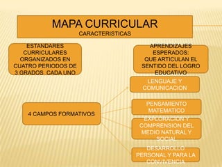 MAPA CURRICULAR
                     CARACTERISTICAS

    ESTANDARES                            APRENDIZAJES
   CURRICULARES                            ESPERADOS:
  ORGANIZADOS EN                         QUE ARTICULAN EL
CUATRO PERIODOS DE                      SENTIDO DEL LOGRO
3 GRADOS CADA UNO                           EDUCATIVO
                                         LENGUAJE Y
                                        COMUNICACION

                                          PENSAMIENTO
                                           MATEMATICO
    4 CAMPOS FORMATIVOS
                                         EXPLORACION Y
                                        COMPRENSION DEL
                                        MEDIO NATURAL Y
                                            SOCIAL
                                          DESARROLLO
                                       PERSONAL Y PARA LA
                                          CONVIVENCIA
 