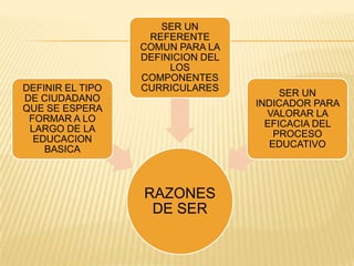 SER UN
                   REFERENTE
                  COMUN PARA LA
                  DEFINICION DEL
                       LOS
                  COMPONENTES
DEFINIR EL TIPO   CURRICULARES
                                        SER UN
DE CIUDADANO
                                   INDICADOR PARA
QUE SE ESPERA
                                     VALORAR LA
 FORMAR A LO
                                     EFICACIA DEL
 LARGO DE LA
                                       PROCESO
  EDUCACION
                                      EDUCATIVO
    BASICA



                  RAZONES
                   DE SER
 
