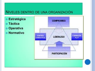 NIVELES DENTRO DE UNA ORGANIZACIÓN
 Estratégica
 Táctica
 Operativa
 Normativo
 