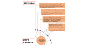 CONTENIDOS
CAMPO
FORMATIVO
 