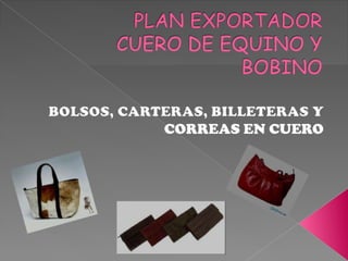 Presentacion plan exp.