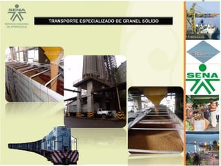 TRANSPORTE ESPECIALIZADO DE GRANEL SÓLIDO
 