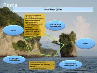 Pesca
                                                 Corto Plazo (2010)

                 Formación titulada pesca:
                 •Tecnólogo en pesca
                 •Técnico profesional en pesca
                 •Marinero de máquinas
                 •Marinero de pesca
                 •Patrón de pesca artesanal.          GESTION DE LA
                 •Técnico profesional en              INFORMACION
                 transporte
                 •comercial marítimo
   CLIENTE
                 •Marinero de cubierta
                 •Técnico en cocina
                 •Técnico en mesa y bar




                                                                                       DISEÑO




  MATERIALES Y
  HERRAMIENTAS
                        Formación titulada pesca:
                        •Procesamiento de pescados       y             PRODUCCION Y
                                                                      TRANSFORMACION
                        mariscos.
                        •Tecnólogo en acuicultura.                                              84
 