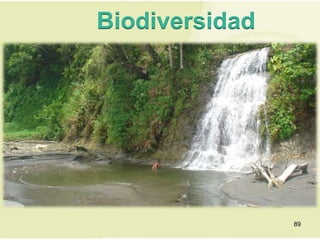 Biodiversidad




                89
 