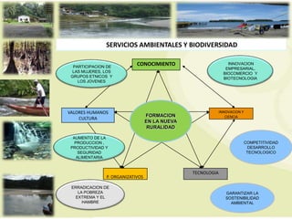 SERVICIOS AMBIENTALES Y BIODIVERSIDAD)

  PARTICIPACION DE
                            CONOCIMIENTO                         INNOVACION
                                                                EMPRESARIAL,
 LAS MUJERES, LOS                                              BIOCOMERCIO Y
 GRUPOS ETNICOS Y                                              BIOTECNOLOGIA
    LOS JOVENES




VALORES HUMANOS                                              INNOVACION Y
                                  FORMACION                     CIENCIA
    CULTURA
                                  EN LA NUEVA
                                   RURALIDAD

  AUMENTO DE LA
   PRODUCCION ,                                                             COMPETITIVIDAD
 PRODUCTIVIDAD Y                                                             DESARROLLO
     SEGURIDAD                                                               TECNOLOGICO
    ALIMENTARIA


                                                TECNOLOGIA
               P. ORGANIZATIVOS

 ERRADICACION DE
    LA POBREZA                                                  GARANTIZAR LA
   EXTREMA Y EL                                                 SOSTENIBILIDAD
      HAMBRE                                                      AMBIENTAL
 