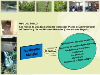 USO DEL SUELO:
Los Planes de Vida (comunidades indígenas) Planes de Administración
del Territorio y de los Recursos Naturales (Comunidades Negras).




                      32.000 has
 