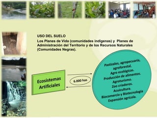 USO DEL SUELO
Los Planes de Vida (comunidades indígenas) y Planes de
Administración del Territorio y de los Recursos Naturales
(Comunidades Negras).
 