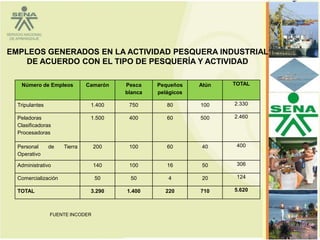 EMPLEOS GENERADOS EN LA ACTIVIDAD PESQUERA INDUSTRIAL
    DE ACUERDO CON EL TIPO DE PESQUERÍA Y ACTIVIDAD

   Número de Empleos          Camarón   Pesca    Pequeños    Atún   TOTAL
                                        blanca   pelágicos

  Tripulantes                  1.400     750        80       100    2.330

  Peladoras                    1.500     400        60       500    2.460
  Clasificadoras
  Procesadoras

  Personal      de   Tierra      200     100        60       40      400
  Operativo

  Administrativo                 140     100        16       50      306

  Comercialización               50      50         4        20      124

  TOTAL                        3.290    1.400      220       710    5.620



                FUENTE INCODER

                                                                            71
 