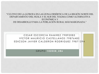 “CULTIVO DE LA JATROFA EN LAS ZONA DESÉRTICA DE LA REGIÓN NORTE DEL
DEPARTAMENTO DEL HUILA Y EL SUR DEL TOLIMA COMO ALTERNATIVA
ECONÓMICA Y
DE DESARROLLO PARA LA POBLACIÓN RURAL MÁS MARGINADA.”

CESAR ESCORCIA RAMIREZ 79892083
VÍCTOR MAURICIO CASTELLANOS 79876485
EDICSON JAVIER CALDERON RODRIGUEZ 79871294

GRUPO 102058_286

 