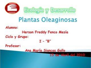 Alumno:
Herson Freddy Fenco Mesía
Ciclo y Grupo:
I – “B”
Profesor:
Ana María Siancas Gallo
15 de Abril del 2010
 