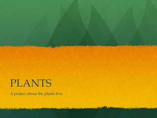 PLANTS
A project about the plants live
 