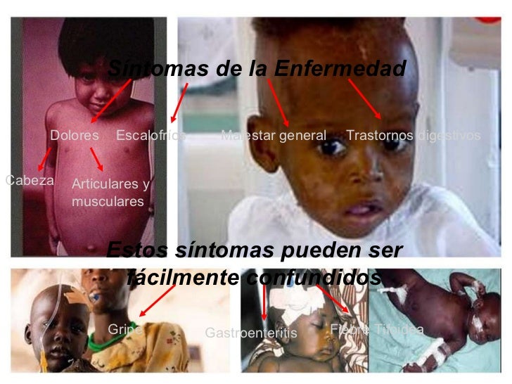 Que es posible sanar los huevos de las lombrices