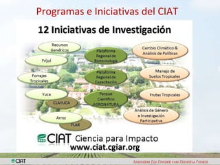  Iniciativa Regional de Fortalecimiento de Capacidades en Sistemas de Semillas