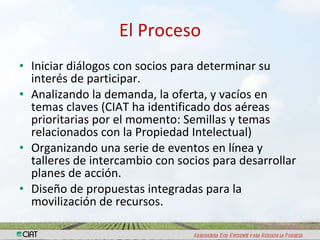  Iniciativa Regional de Fortalecimiento de Capacidades en Sistemas de Semillas