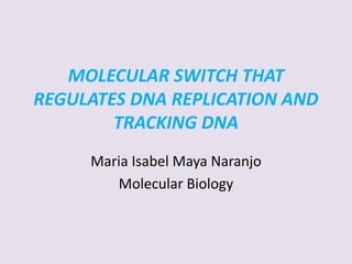 MOLECULAR SWITCH THAT
REGULATES DNA REPLICATION AND
TRACKING DNA
Maria Isabel Maya Naranjo
Molecular Biology
 