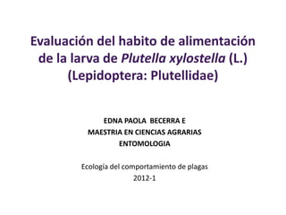 Evaluación del habito de alimentación
de la larva de Plutella xylostella (L.)
(Lepidoptera: Plutellidae)
EDNA PAOLA BECERRA E
MAESTRIA EN CIENCIAS AGRARIAS
ENTOMOLOGIA
Ecología del comportamiento de plagas
2012-1
 