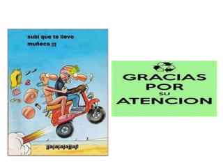 Presentacion plutella