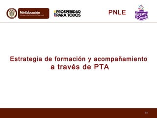 14
Estrategia de formación y acompañamiento
a través de PTA
PNLE
 