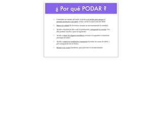 ¿ Por qué PODAR ?
•

Conocidas las edades del árbol, la poda es el medio para alargar el
periodo productivo del árbol, si bien, acorta la edad total del árbol.

•

Mejora la calidad de los frutos, aunque no necesariamente la cantidad.

•

Ayuda a regularizar año a año la producción, corrigiendo la vecería. (Un
año produce mucho y poco al siguiente).

•

Ayuda a situar los órganos fructíferos cercanos al esqueleto o estructura
principal del árbol.

•

Ayuda a mejora la ventilación e insolación de todas las zonas de árbol, y
por consiguiente de los frutos.

•

Renueva las zonas fructíferas, para prevenir su envejecimiento.

 