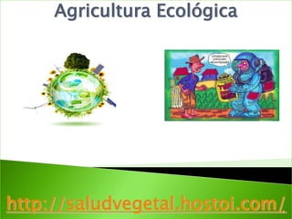 Agricultura Ecológica




http://saludvegetal.hostoi.com/
                              1
 