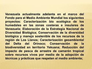 Venezuela actualmente adelanta en el marco del Fondo para el Medio Ambiente Mundial los siguientes proyectos: Caracterización bio ecológica de los humedales en las zonas costeras e insulares de Venezuela; Elaboración de la Estrategia Nacional de Diversidad Biológica; Conservación de la diversidad biológica y manejo sostenible de los recursos de la región de Los Llanos; Caracterización geoambiental del Delta del Orinoco; Conservación de la biodiversidad en territorio Yekuana; Reducción del impacto de pesca de arrastre de camarón tropical sobre recursos vivos por medio de la adopción de técnicas y prácticas que respeten el medio ambiente;  