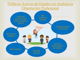 –
Políticas Activas de Empleo en Andalucía
Orientación Profesional
Itinerarios
personalizados
para la inserción
laboral
Red
Andalucía
Orienta
Prácticas en
Empresas
Acciones
experimentales
de Empleo
Reincorpórat-e
Garantía
Juvenil
Acompañamiento
a la Inserción
 