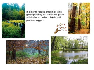 In order to reduce amount of toxic gases polluting air, plants are grown which absorb carbon dioxide and produce oxygen.  