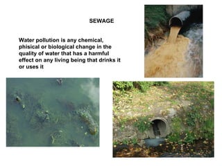 SEWAGE Water pollution is any chemical, phisical or biological change in the quality of water that has a harmful effect on any living being that drinks it or uses it  