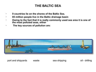 THE BALTIC SEA 9 countries lie on the shores of the Baltic Sea. 85 million people live in the Baltic drainage basin Owing to the fact that it is really commonly used sea area it is one of the most polluted seas, either The key sources of pollution are: port and shipyards  waste  sea shipping  oil - drilling 