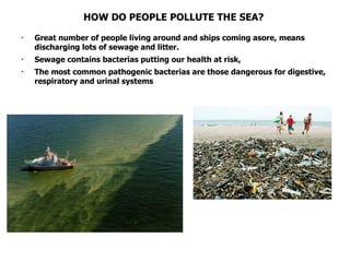 HOW DO PEOPLE POLLUTE THE SEA? Great number of people living around and ships coming asore, means discharging lots of sewage and litter. Sewage contains bacterias putting our health at risk,  The most common pathogenic bacterias are those dangerous for digestive, respiratory and urinal systems   
