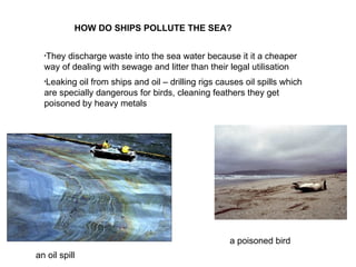 HOW DO SHIPS POLLUTE THE SEA? They discharge waste into the sea water because it it a cheaper way of dealing with sewage and litter than their legal utilisation Leaking oil from ships and oil – drilling rigs causes oil spills which are specially dangerous for birds, cleaning feathers they get poisoned by heavy metals an oil spill   a poisoned bird 