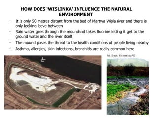 HOW DOES ‘WISLINKA’ INFLUENCE THE NATURAL ENVIRONMENT   It is only 50 metres distant from the bed of Martwa Wisla river and there is only leeking leeve between Rain water goes through the moundand takes fluorine letting it get to the ground water and the river itself The mound poses the threat to the health conditions of people living nearby Asthma, allergies, skin infections, bronchitis are really common here 