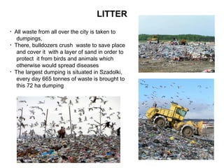 LITTER All waste from all over the city is taken to  dumpings, There, bulldozers crush  waste to save place and cover it  with a layer of sand in order to  protect  it from birds and animals which otherwise would spread diseases The largest dumping is situated in Szadolki,  every day 665 tonnes of waste is brought to  this 72 ha dumping 