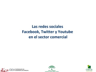 Las redes sociales  Facebook, Twitter y Youtube  en el sector comercial 