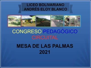 LICEO BOLIVARIANO
ANDRÉS ELOY BLANCO
CONGRESO PEDAGÓGICO
CIRCUITAL
MESA DE LAS PALMAS
2021
 