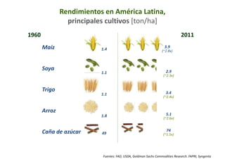 Maíz 
Soya 
1960 
Rendimientos en América Latina, 
principales cultivos [ton/ha] 
1.4 
1.1 
Trigo 
1.1 
Arroz 
1.8 
Caña de azúcar 49 
2011 
3.9 
(~2.8x) 
2.9 
(~2.3x) 
3.4 
(~2.4x) 
5.1 
(~2.6x) 
74 
(~1.5x) 
Fuentes: FAO, USDA, Goldman Sachs Commodities Research. FAPRI, Syngenta 
 
