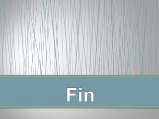 Presentacion portafolio usfq, Maria Caridad Albuja