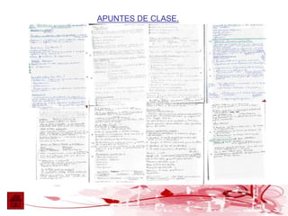 APUNTES DE CLASE.
 
