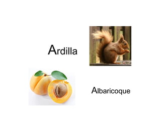 Ardilla

          Albaricoque
 