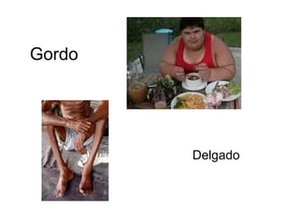 Gordo




        Delgado
 