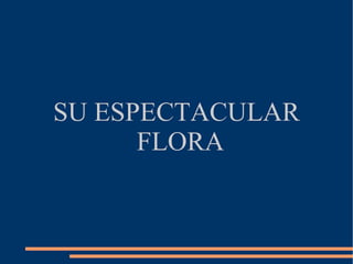 SU ESPECTACULAR FLORA 
