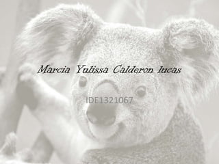 Marcia Yulissa Calderon lucas
IDE1321067
 