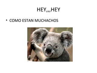 HEY,,,HEY
• COMO ESTAN MUCHACHOS
 