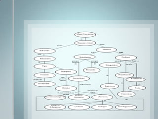 EL SUBRAYADO. Es destacar mediante un trazo (línea, rayas u otras señales) las frases esenciales y palabras claves de un texto.¿Por qué es conveniente subrayar?  Porque llegamos con rapidez a la comprensiónde la lectura y organización de un texto.   ¿Qué debemos subrayar?    La idea principal   Palabras técnicas o especificas.        